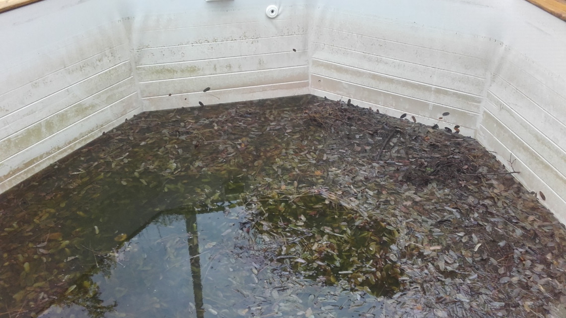 Entretien et rénovation terrasse et piscine bois à SAINT-JEAN-D'ARDIÈRES (69)