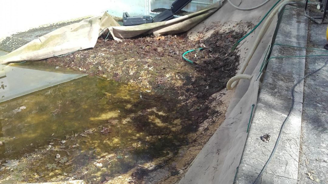 Rénovation piscine à JASSANS RIOTTIER