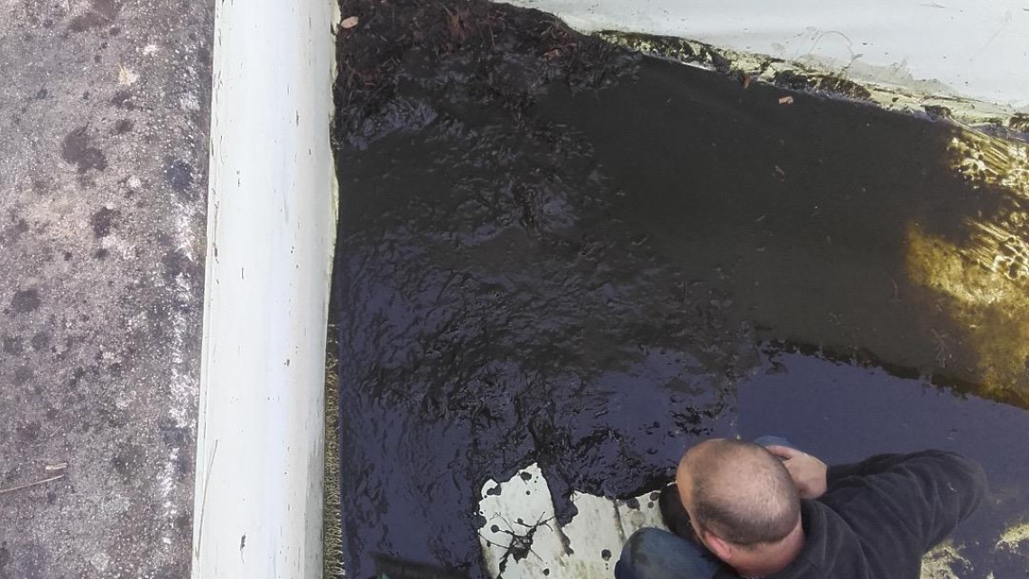 Rénovation piscine à JASSANS RIOTTIER